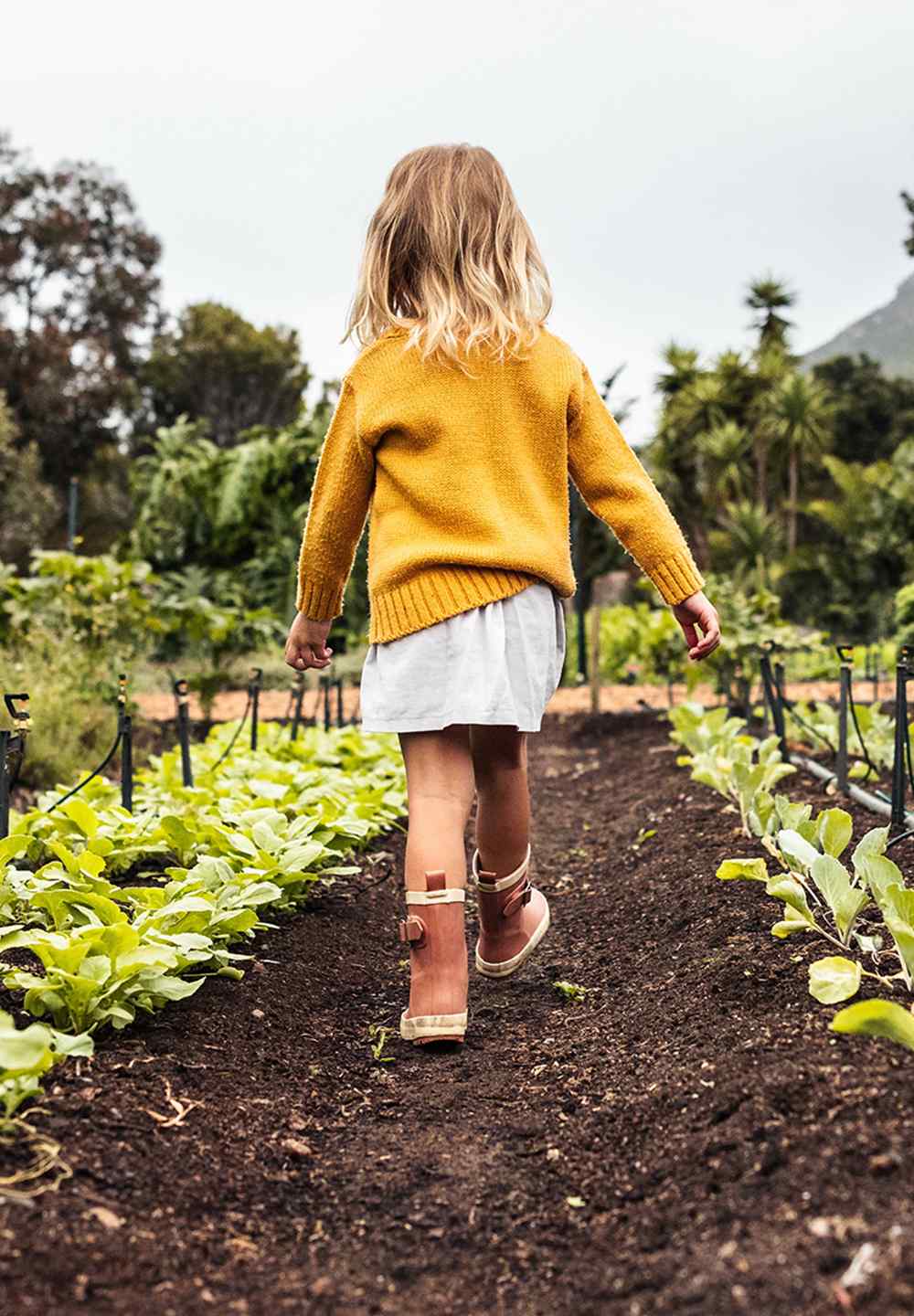 https://qalikids.josearturcardoso.com/wp-content/uploads/2022/04/card_image_03.jpg
