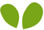 https://qalikids.josearturcardoso.com/wp-content/uploads/2022/04/green_leaf.png